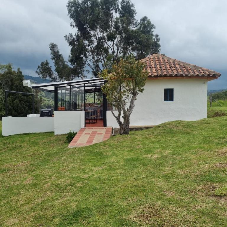 Prana - Casa - 10