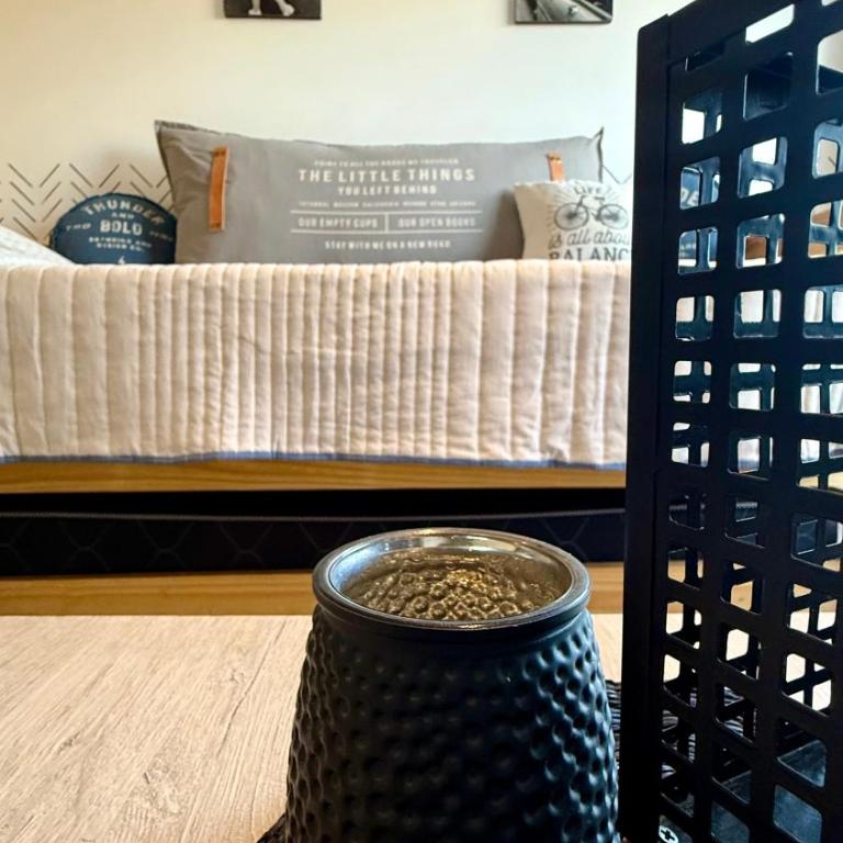 Pellegrini Apartments Mendoza !! Estupendos Departamentos con Cochera Privada cercanos a Parque Gral San Martin - Apartamento de 1 dormitorio con balcón y vistas a la montaña - 12