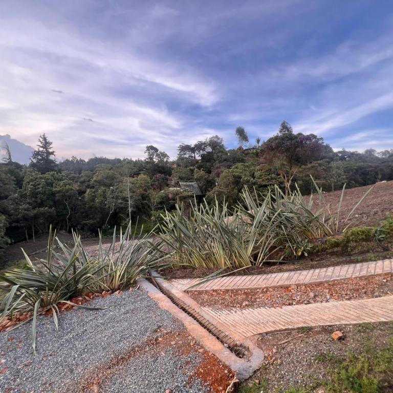 Ventana al bosque - Casa Vacacional de 3 dormitorios - 6