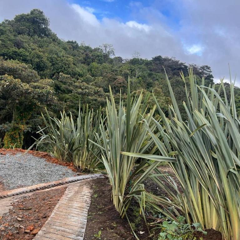 Ventana al bosque - Casa Vacacional de 3 dormitorios - 7