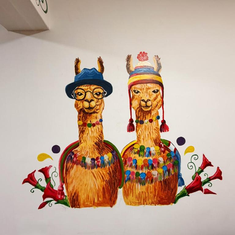Cusi Causay - Apartamento - 5