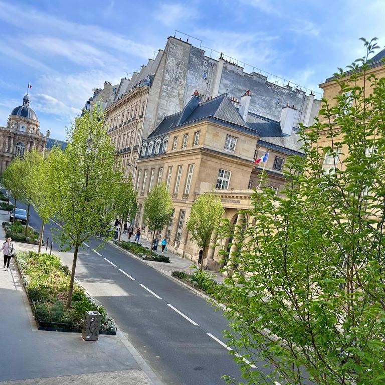 Charming brand new studio with Mezzanine - Odeon - Appartement 1 Chambre - 3