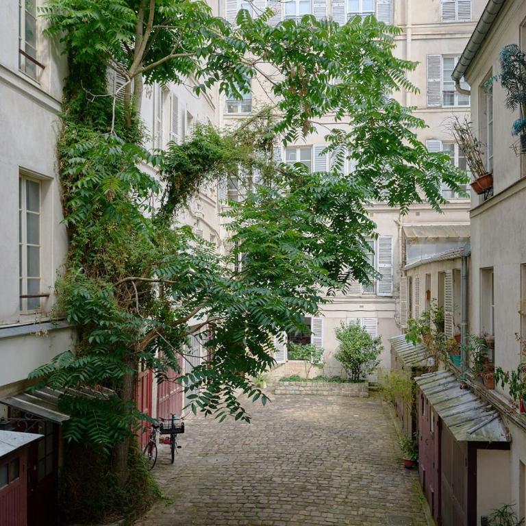 Charming brand new studio with Mezzanine - Odeon - Appartement 1 Chambre - 10