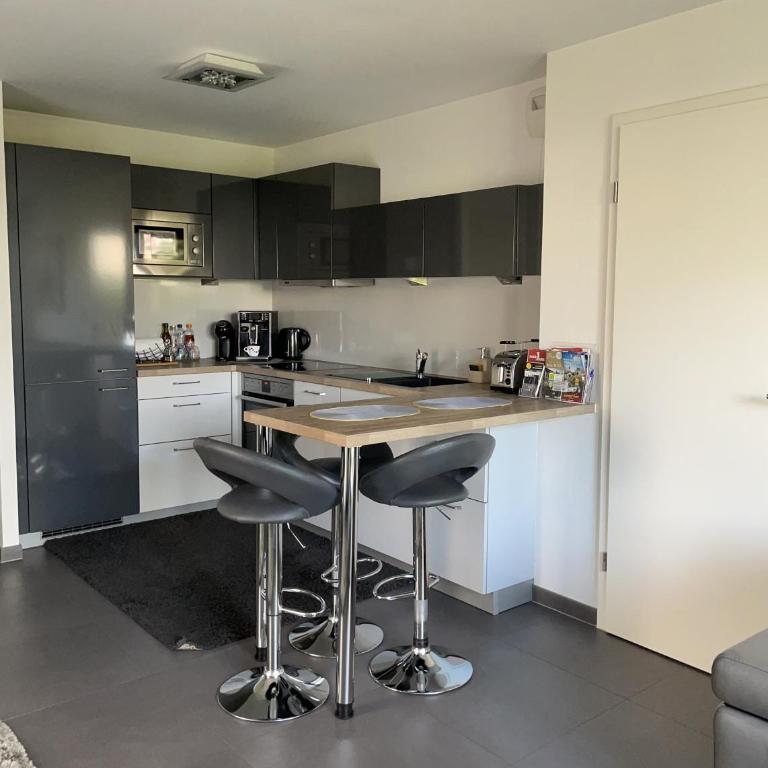 Robertsau, jardin en ville - One-Bedroom Apartment - 10