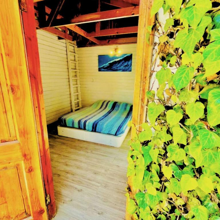 Paioneal Hostel - Studio with Terrace - 10
