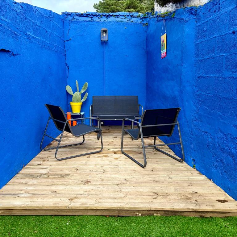 Majorelle de Talensac - Appartement 1 Chambre - 5