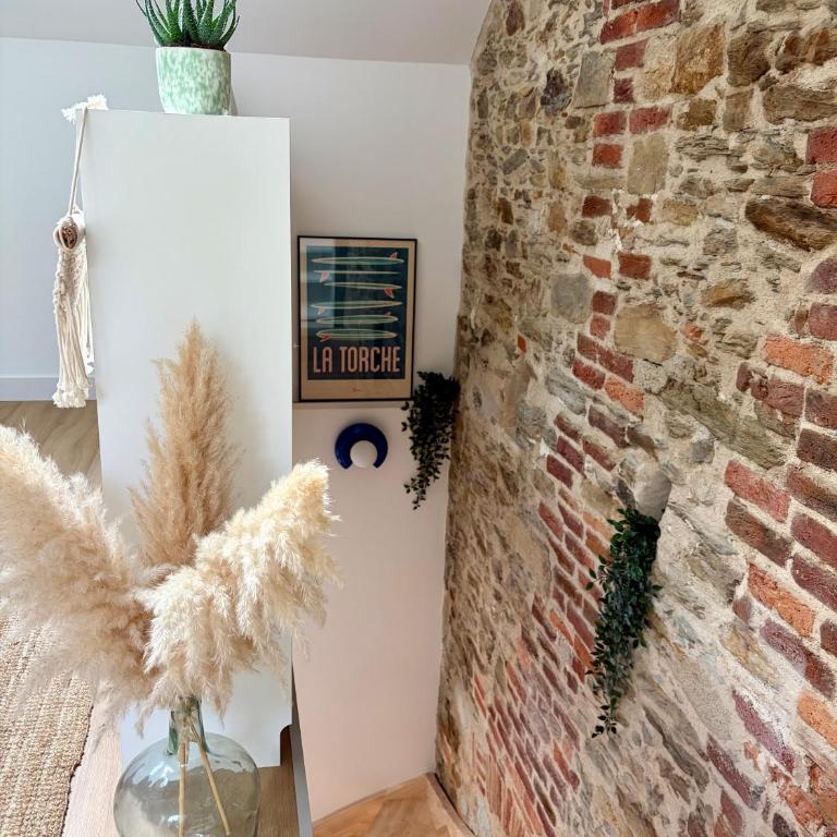 Majorelle de Talensac - Appartement 1 Chambre - 8
