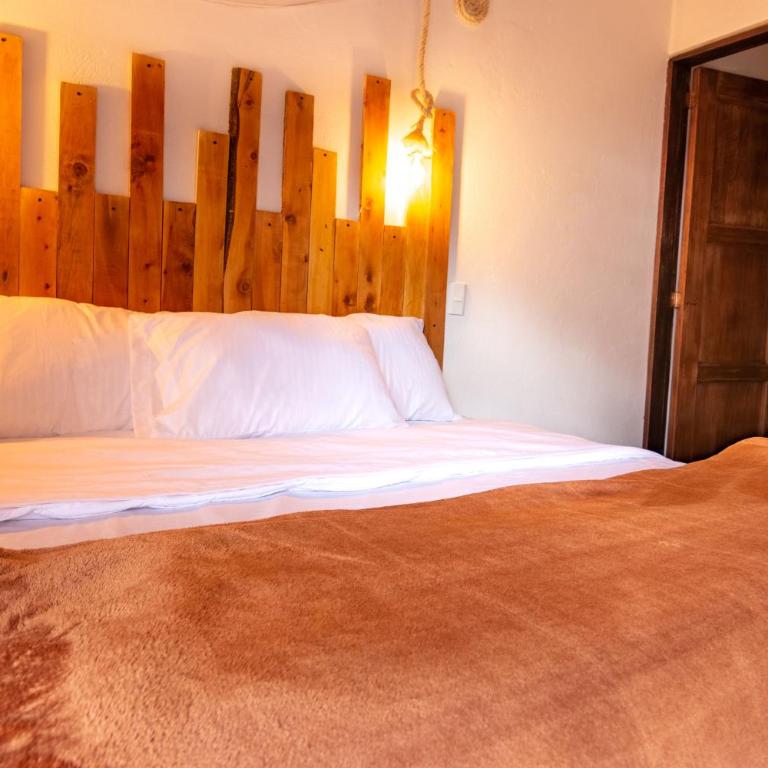 Condominio The monkey House - Villa - 59