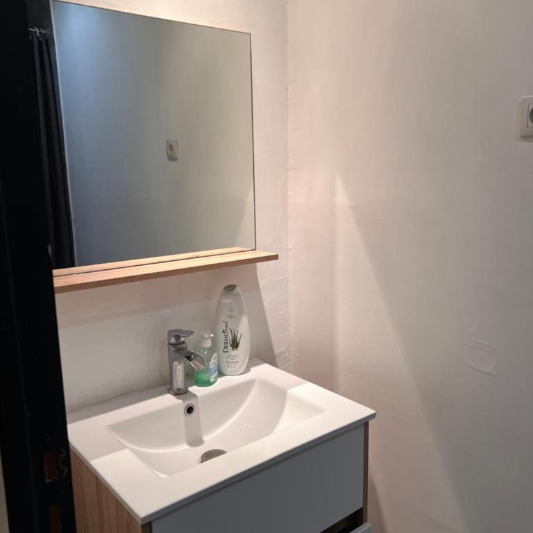 3- Le saule mauve - Appartement 1 Chambre - 4