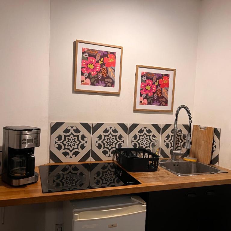 3- Le saule mauve - Appartement 1 Chambre - 11