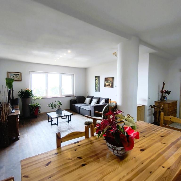 Villa Dream alla Beppa - Apartamento de 3 dormitorios - 100