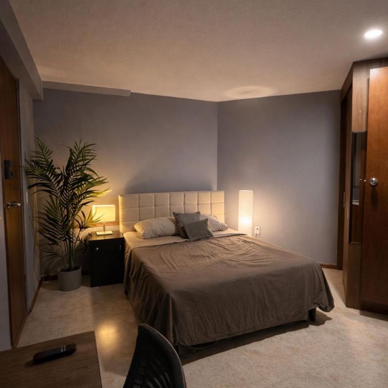 Bowra Estudio Zona Consulado ORQ 1 - One-Bedroom Apartment - 1