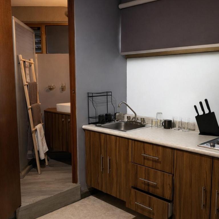 Bowra Estudio Zona Consulado ORQ 1 - One-Bedroom Apartment - 4