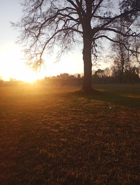 Cabañas Quilacoyan entre Villarrica y Pucon - Chalet Superior - 9