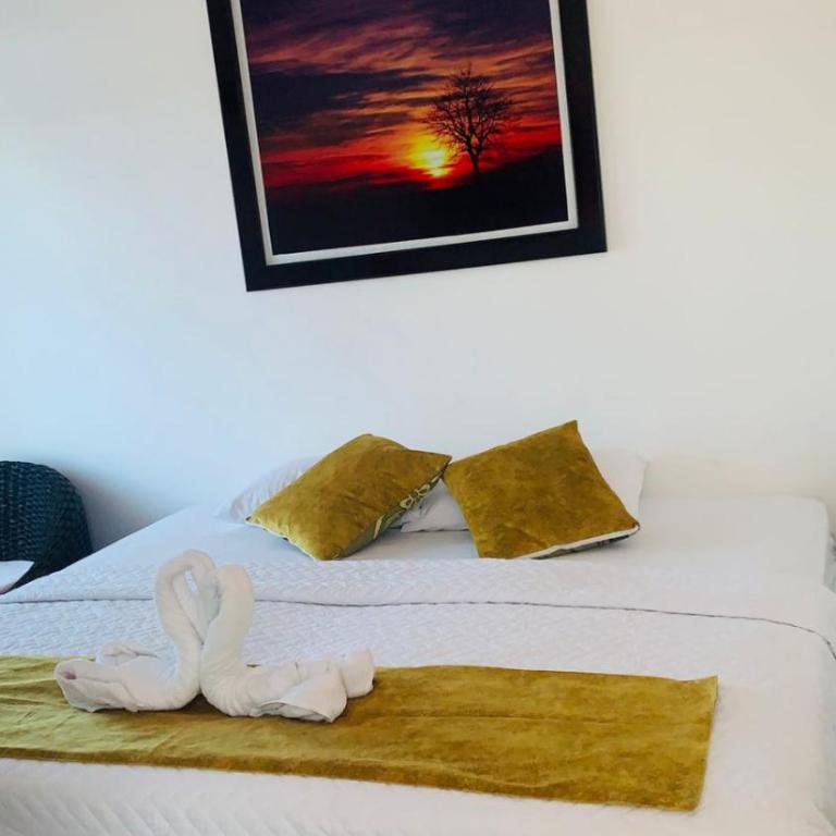 Piqueros patas azules - Double Room with Private Bathroom - 30
