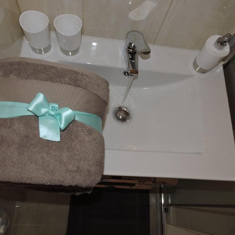 Promenade Appartements les Lions - Appartement avec Douche - 10