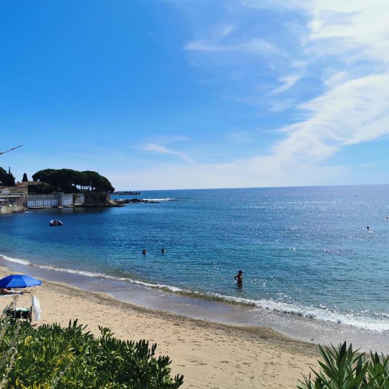 Superbe T2 entre mer et nature - Apartment mit 1 Schlafzimmer - 33