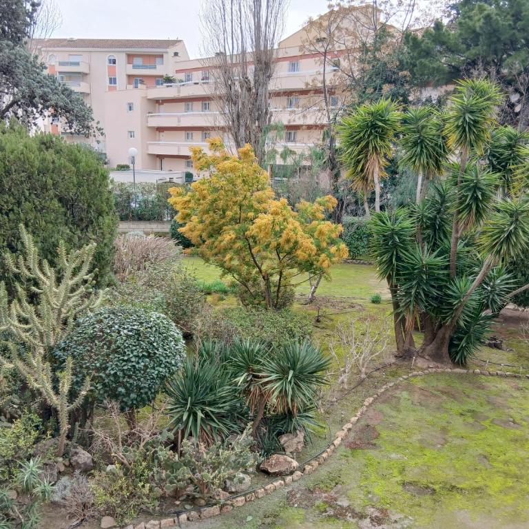 Studio cozy, terrasse, parking, tout à 2 pas d'ici - Appartement 1 Chambre - 23