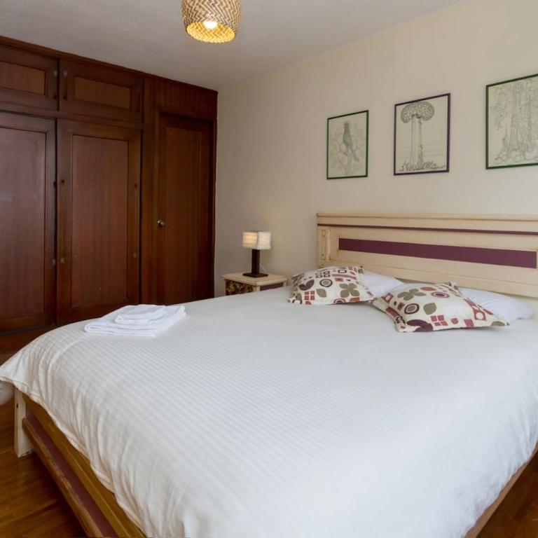 Amplio, acogedor, centrico, 3 hab, garage - Three-Bedroom Superior Apartment - 39