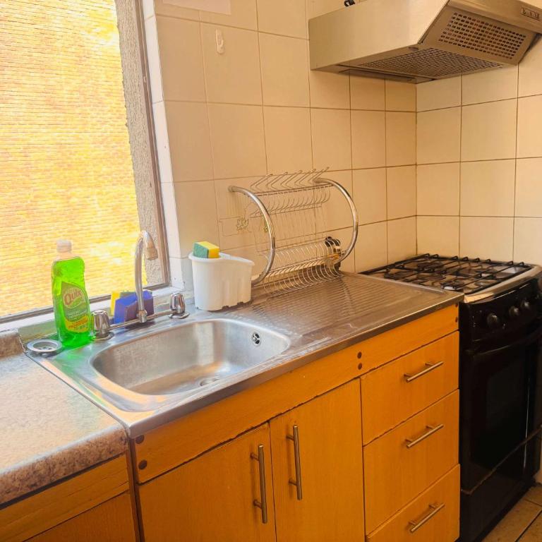 Costanera Center con Parking - Apartment - 17