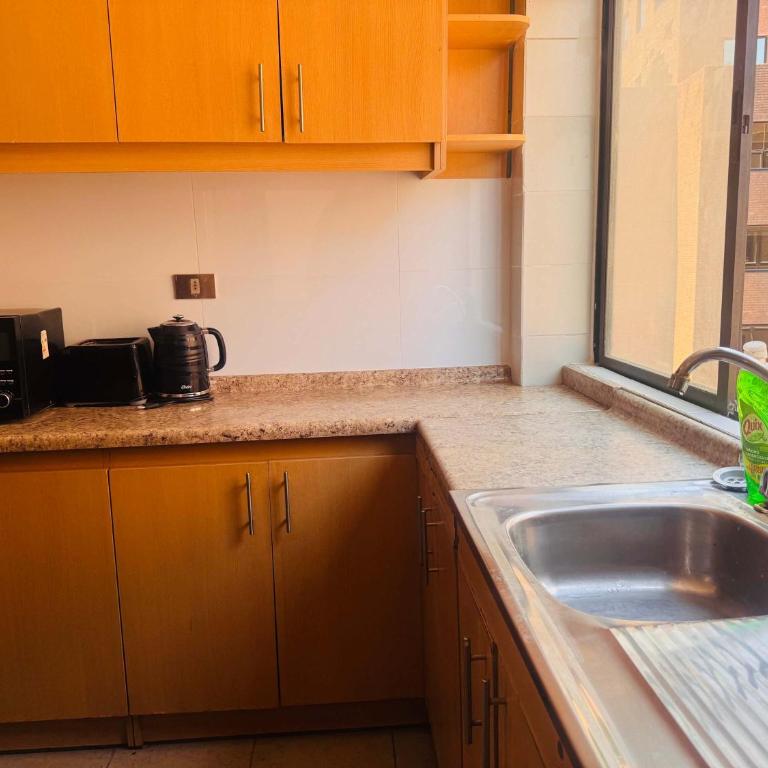 Costanera Center con Parking - Apartment - 19