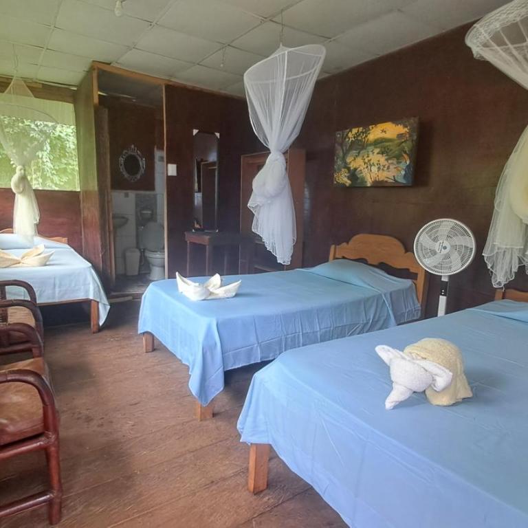 Iquitos View Lodge Expeditions - Triple Room with Garden View - 3