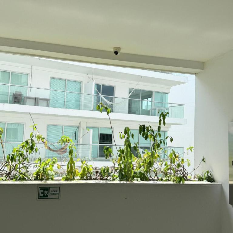 Apartamento en la Boquilla - Apartment - 9
