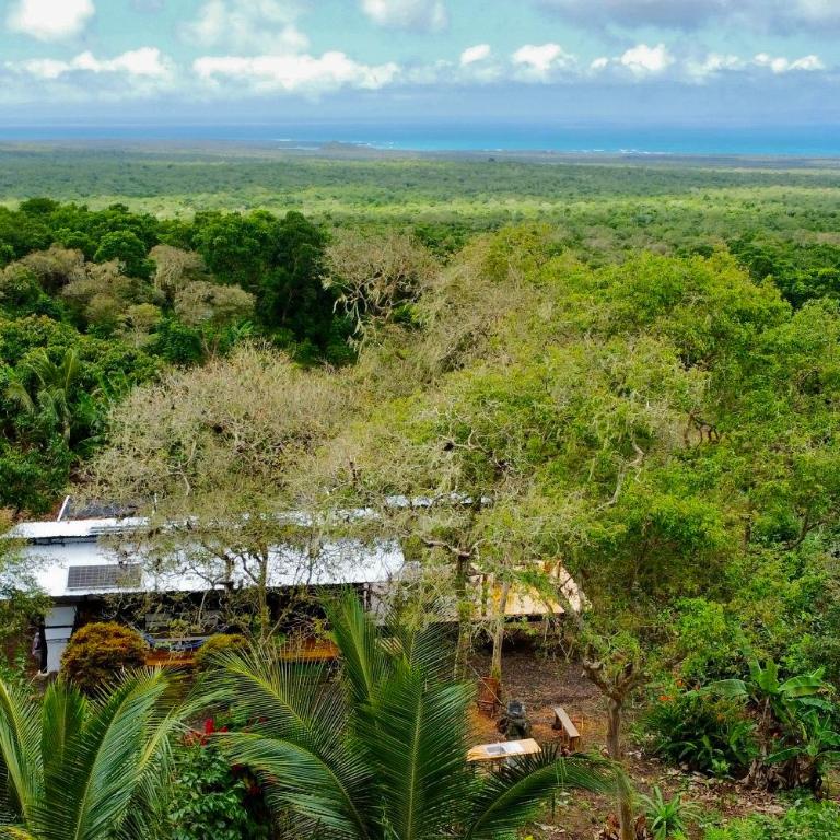 Casa Vikingo - A Unique, Secluded Highland Cabin - One-Bedroom Villa - 28