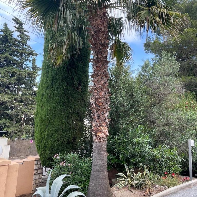 Villa Baccara, piscine privée, plages à pieds - Villa mit 3 Schlafzimmern - 38
