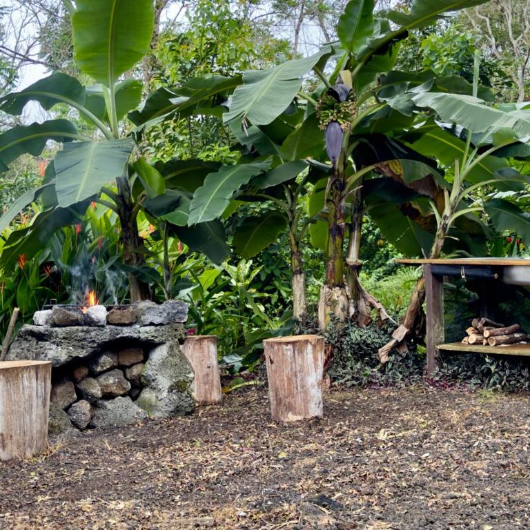 Casa Vikingo - A Unique, Secluded Highland Cabin - One-Bedroom Villa - 36