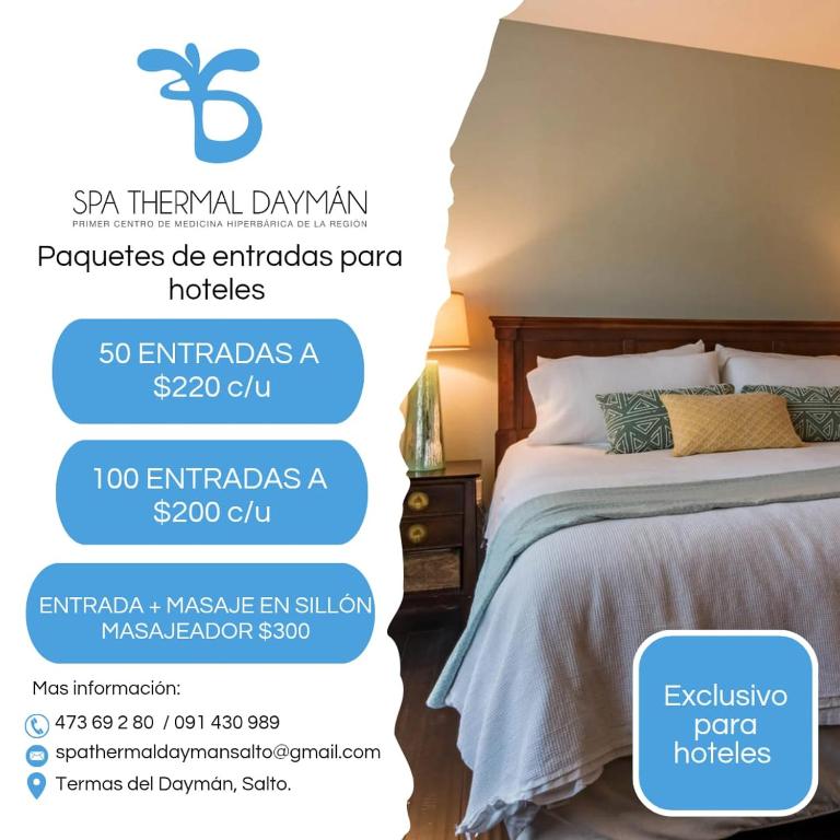 Natural Agave - One-Bedroom Apartment - 10