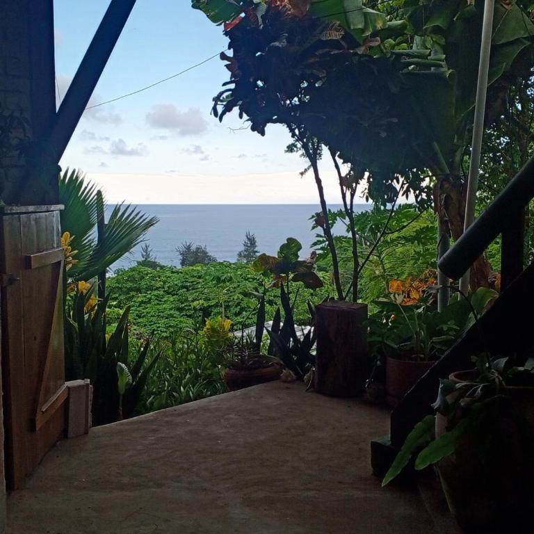 Punto Verde Ecological house - Deluxe Double or Twin Room with Ocean View - 14