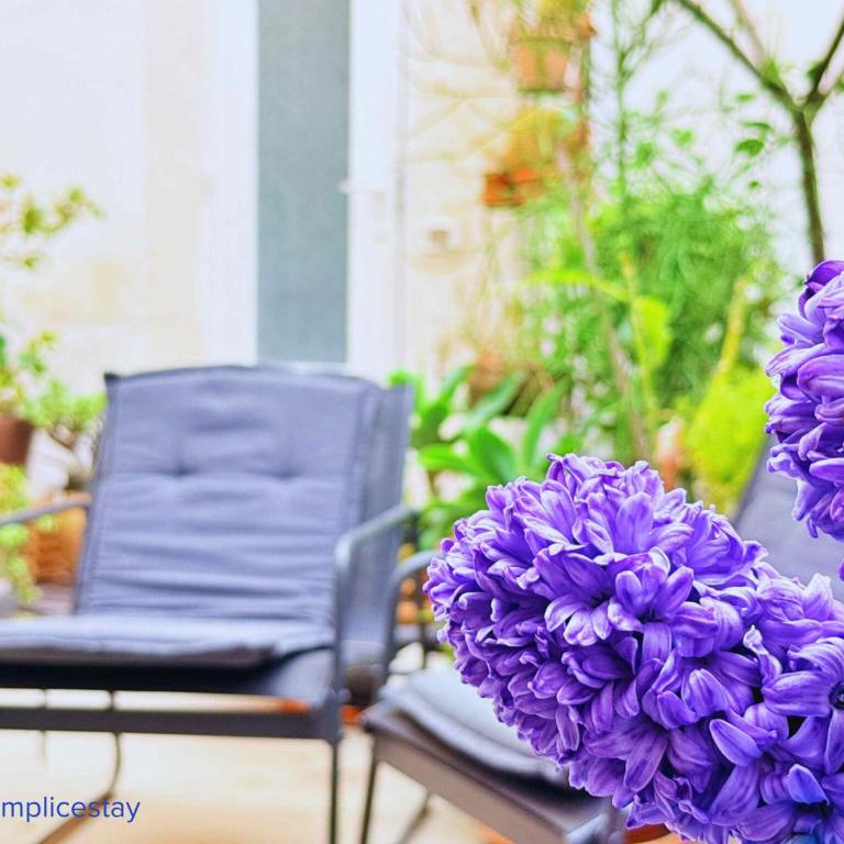 Atelier Guest House, Arte e Vacanze in Sicilia - Casa con 4 camere da letto - 3
