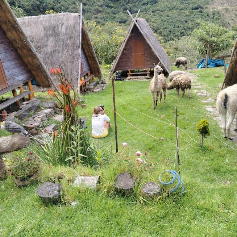 Hay & Mountain Huts - Twin Room with Shared Bathroom - 6