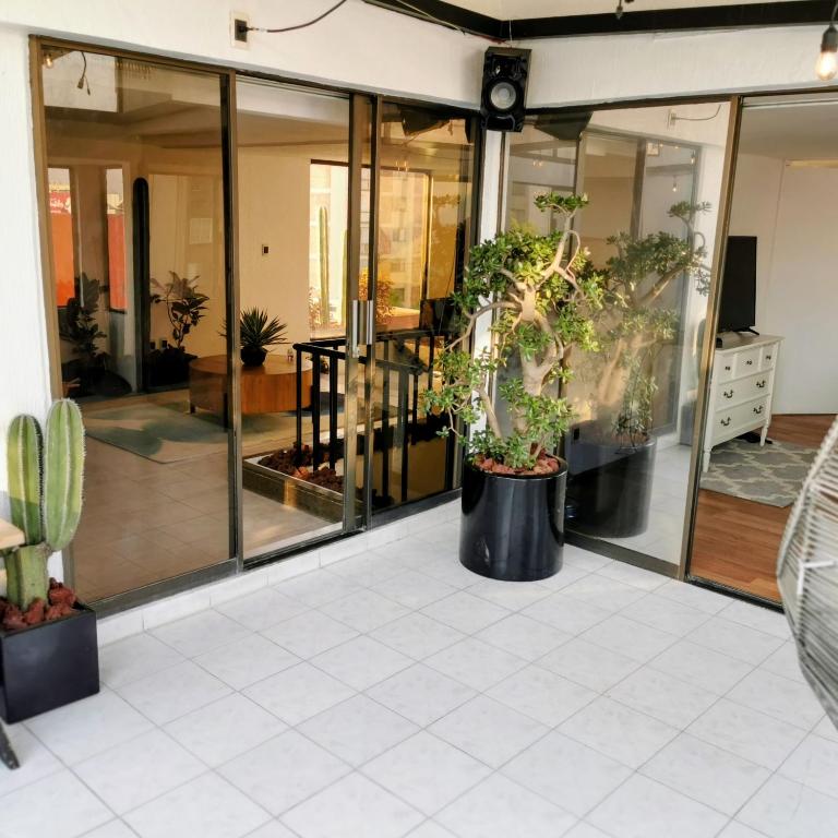 Amplio penthouse colonia del valle - Apartamento de 3 dormitorios Premium - 29