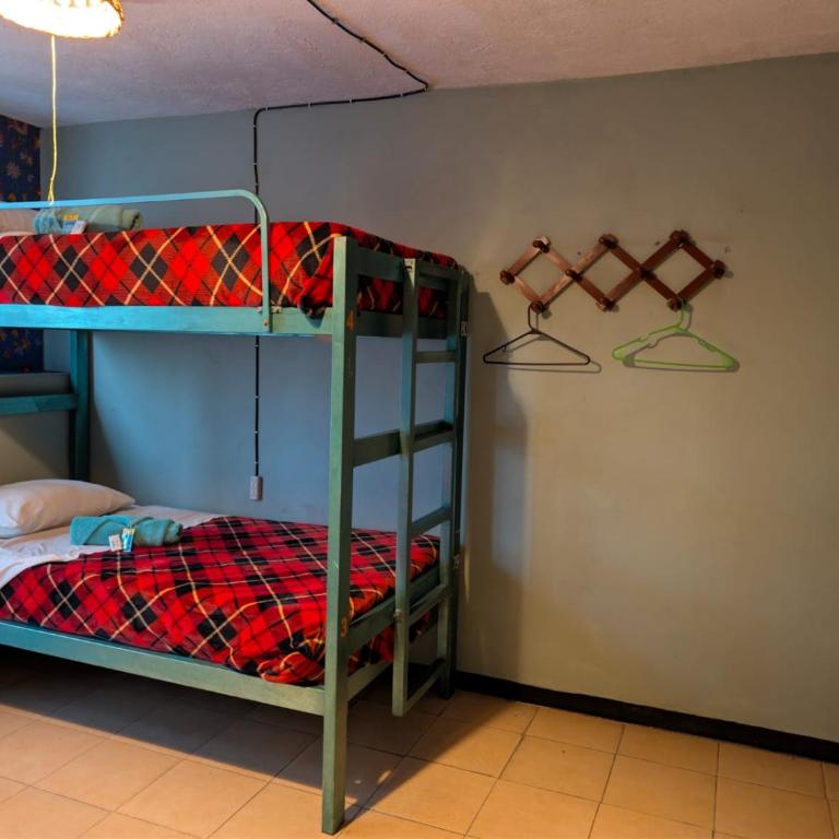 Hierba De Conejo Hostel - Cama en habitación compartida mixta de 4 camas - 5