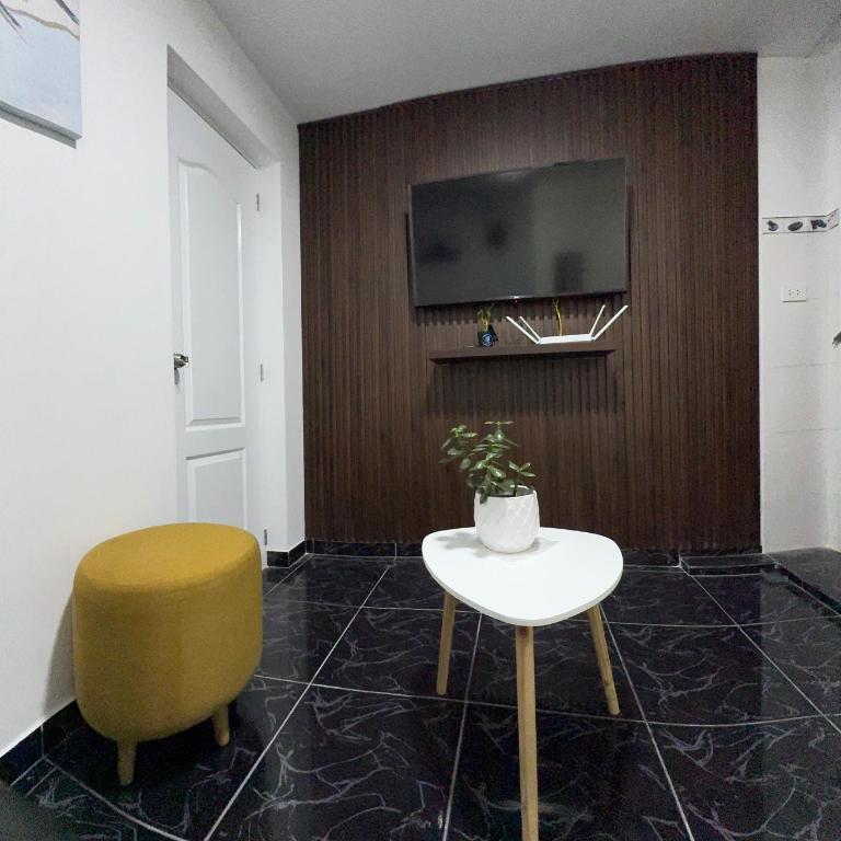 Nice 1BR in the Historic Heart of Pueblo Libre - One-Bedroom Apartment - 13