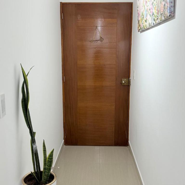 Nice 1BR in the Historic Heart of Pueblo Libre - One-Bedroom Apartment - 32