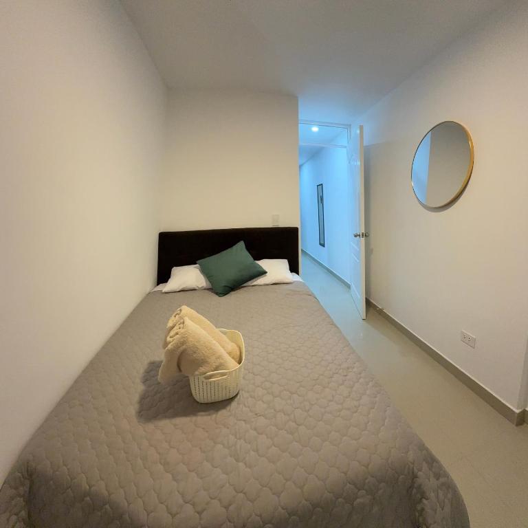 Nice 1BR in the Historic Heart of Pueblo Libre - One-Bedroom Apartment - 40