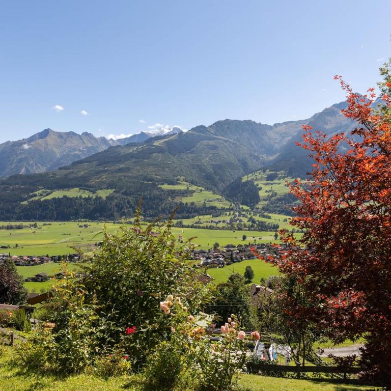 Bright flat close to the ski area - Apartment mit 1 Schlafzimmer - 15