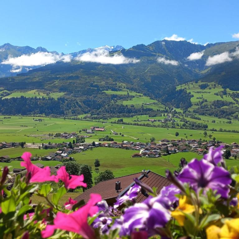 Bright flat close to the ski area - Apartment mit 1 Schlafzimmer - 12