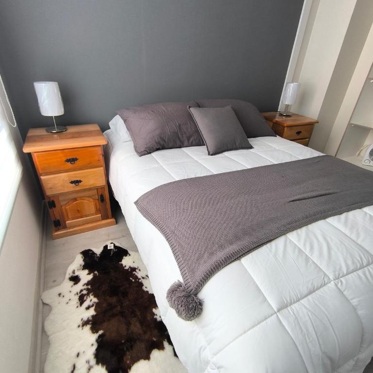 Villarrica Departamento Equipado 2D 1B - Apartamento de 2 dormitorios - 20