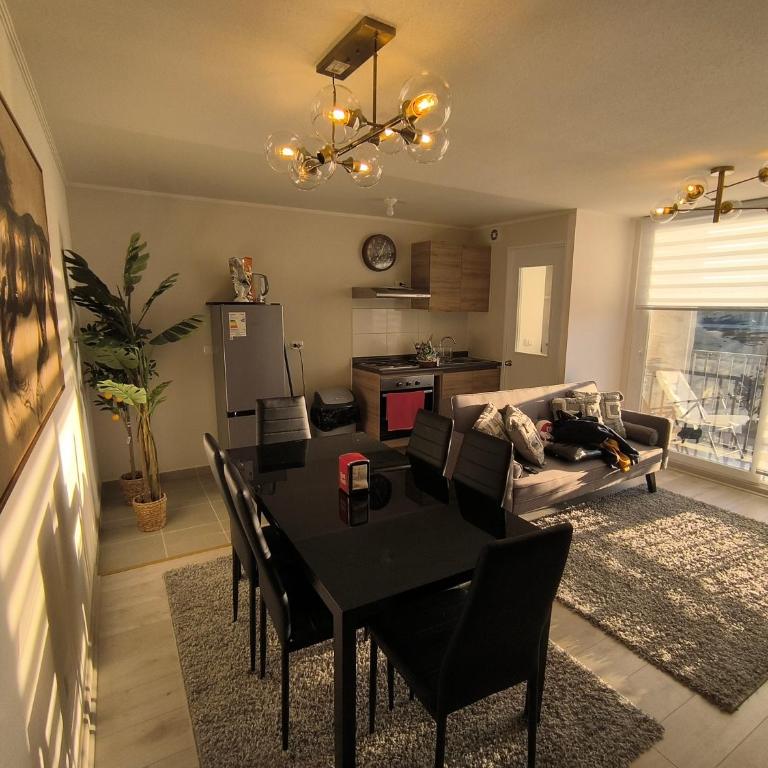 Villarrica Departamento Equipado 2D 1B - Apartamento de 2 dormitorios - 14