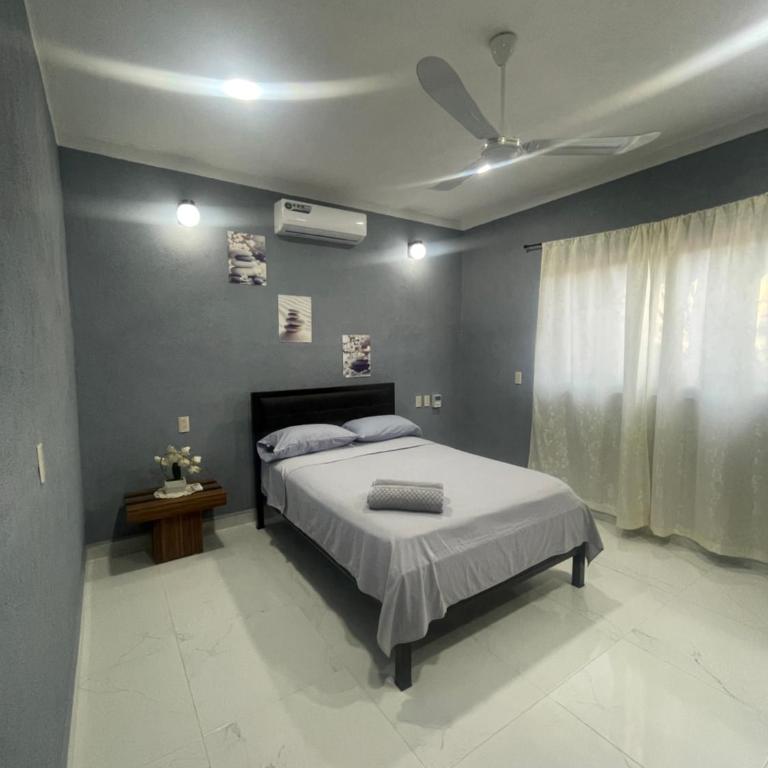 Estancia Sofia - Apartamento Estándar de 2 dormitorios - 23