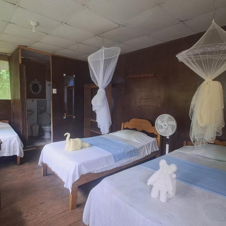 Iquitos View Lodge Expeditions - Triple Room with Garden View - 4