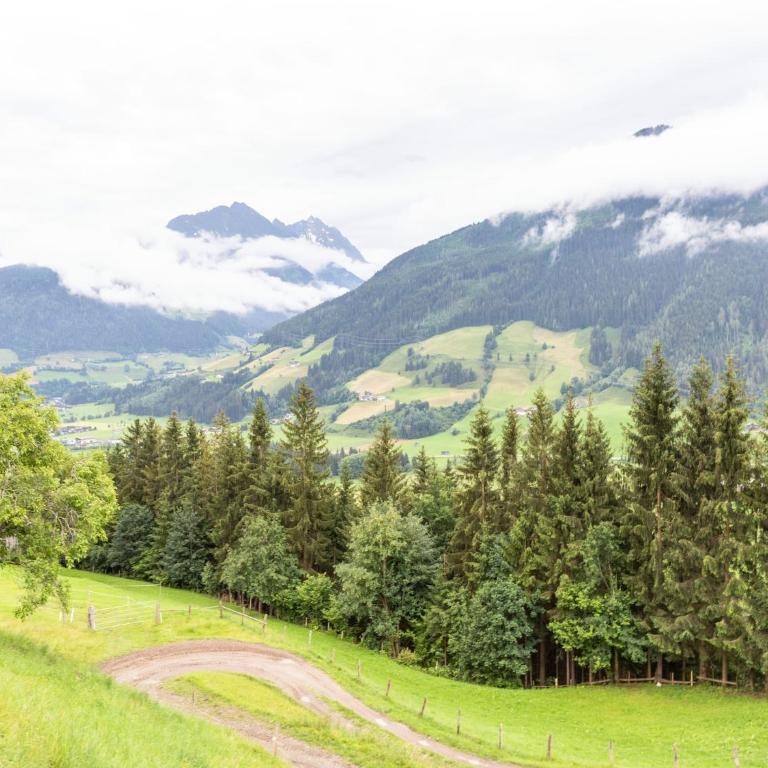 Chalet in Mittersill near Ski Slopes - Ferienhaus mit 4 Zimmern - 7