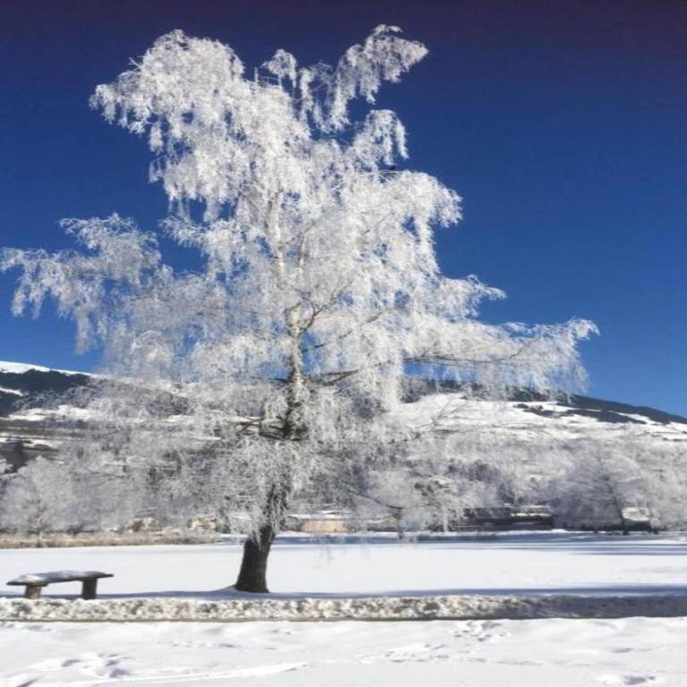 Chalet in Mittersill near Ski Slopes - Ferienhaus mit 4 Zimmern - 28