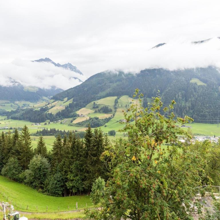Chalet in Mittersill near Ski Slopes - Ferienhaus mit 4 Zimmern - 21