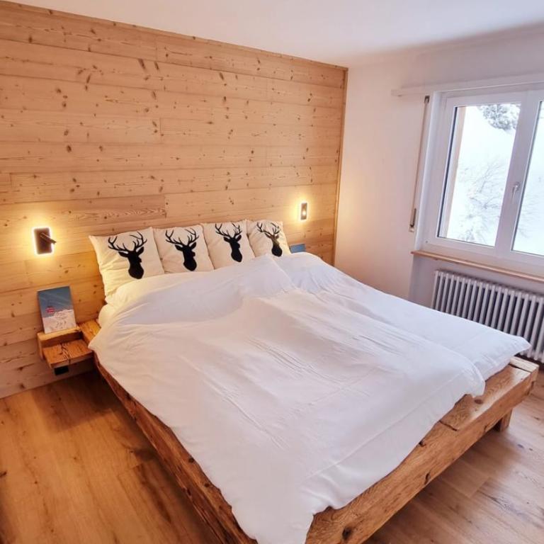 Hollandia 26 - Apartment - 14