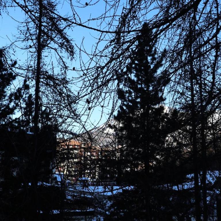 Résidence Le Pouzenc - Studio 6 personnes accès direct aux pistes MAE-2784 - Studio - 11
